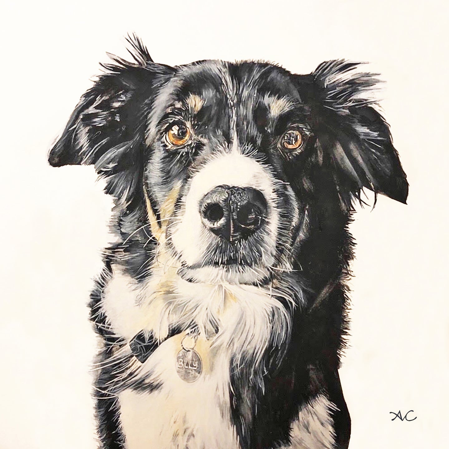PET PORTRAIT PAINTINGS